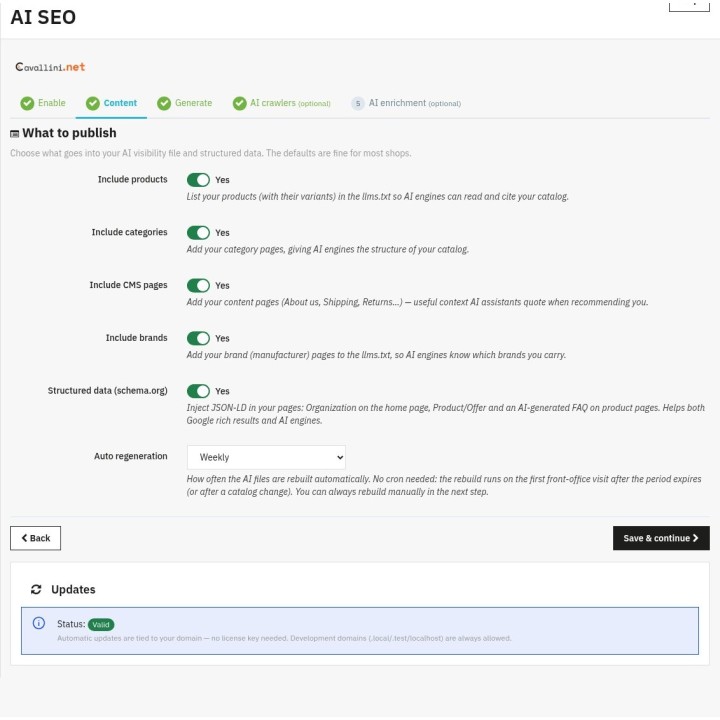 AI SEO — Content (back office)