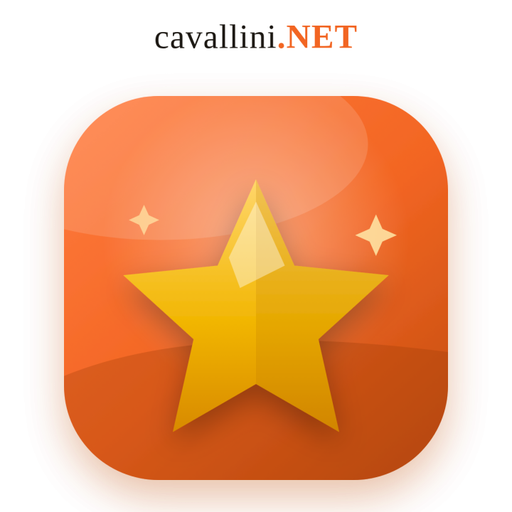 Product & Store Reviews with Google Rich Snippets – Modulo.