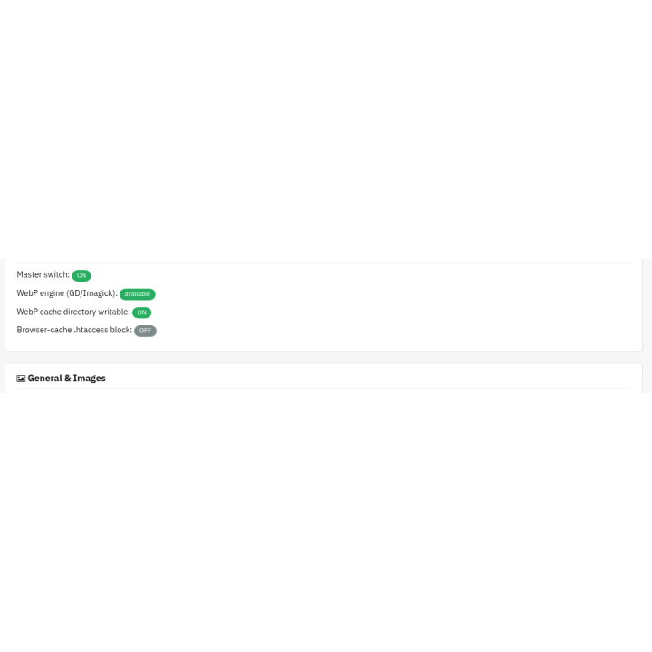 Performance - WebP, lazy load, minify & cache — Status (back office)